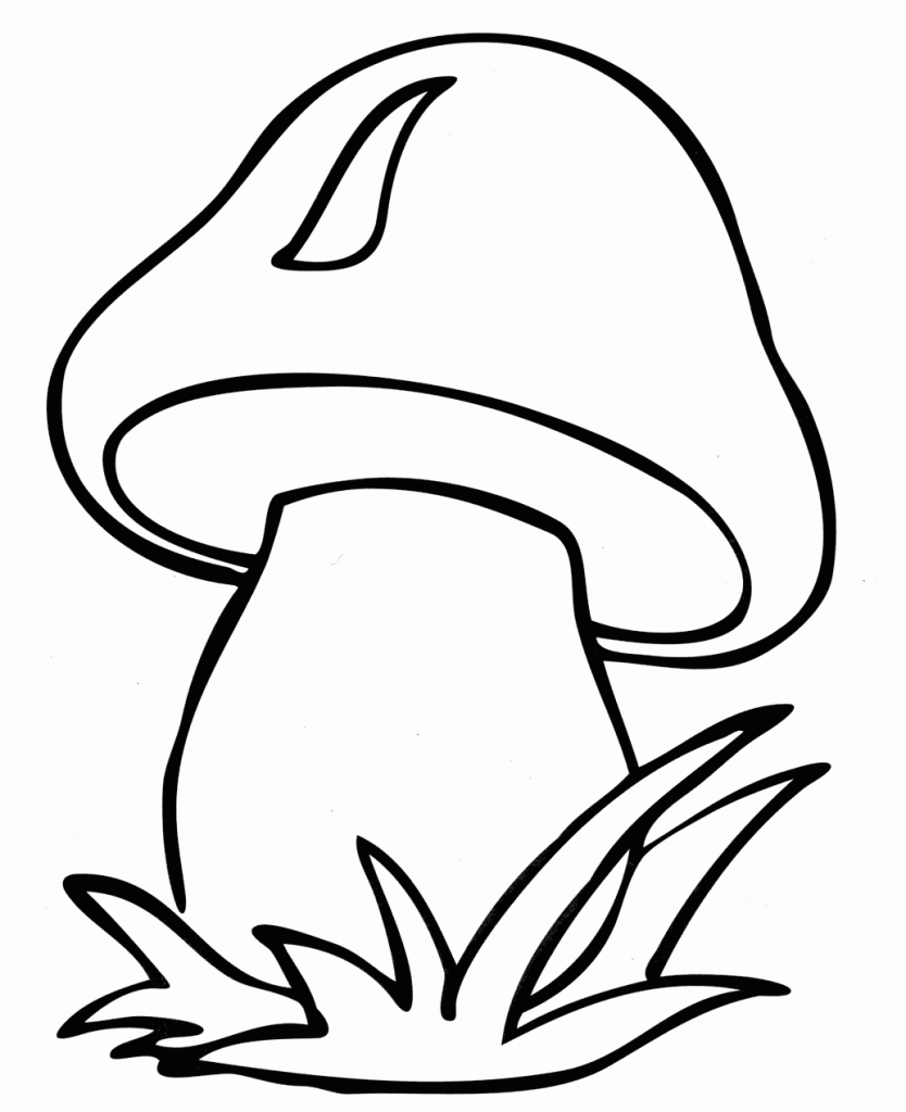 Comment imprimer le coloriage du chat tout mignon ?