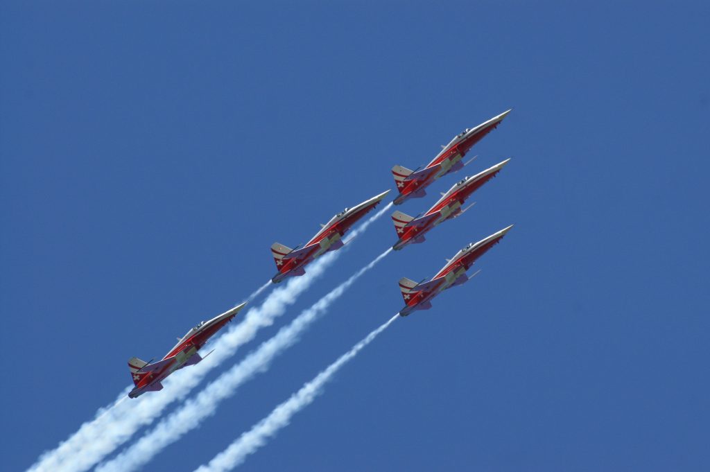 Quel nom a le maître de tous les chiens de la pat patrouille ?